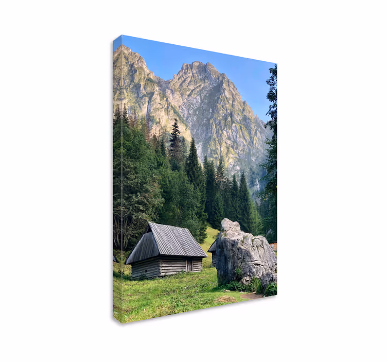 Quadro paesaggio scena di foresta montuosa - TenStickers