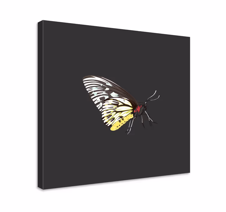 Dipinto farfalle profilo di farfalla elegante - TenStickers