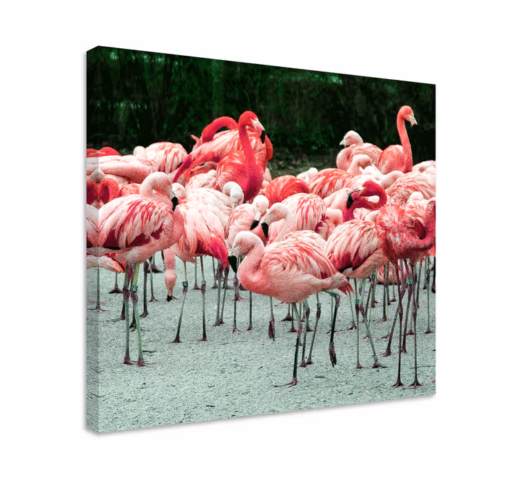 Quadro con uccelli gruppo di fenicotteri - TenStickers