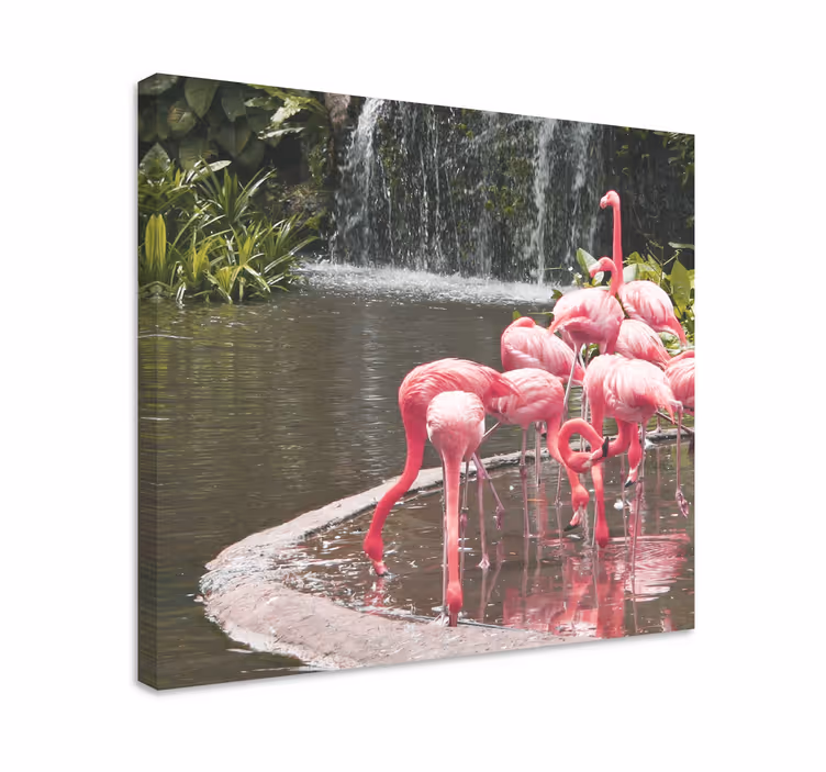 Quadro con uccelli gruppo di fenicotteri piscina - TenStickers