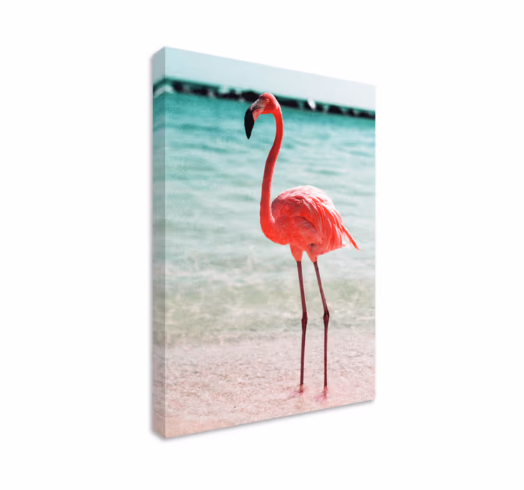 Quadro con uccelli posizione elegante del fenicottero - TenStickers
