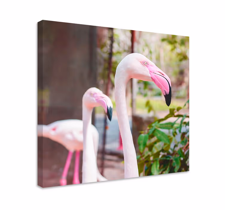 Quadro con uccelli fenicotteri eleganti insieme - TenStickers