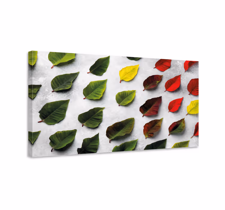 Dipinto fiori e piante collezione di foglie diverse - TenStickers