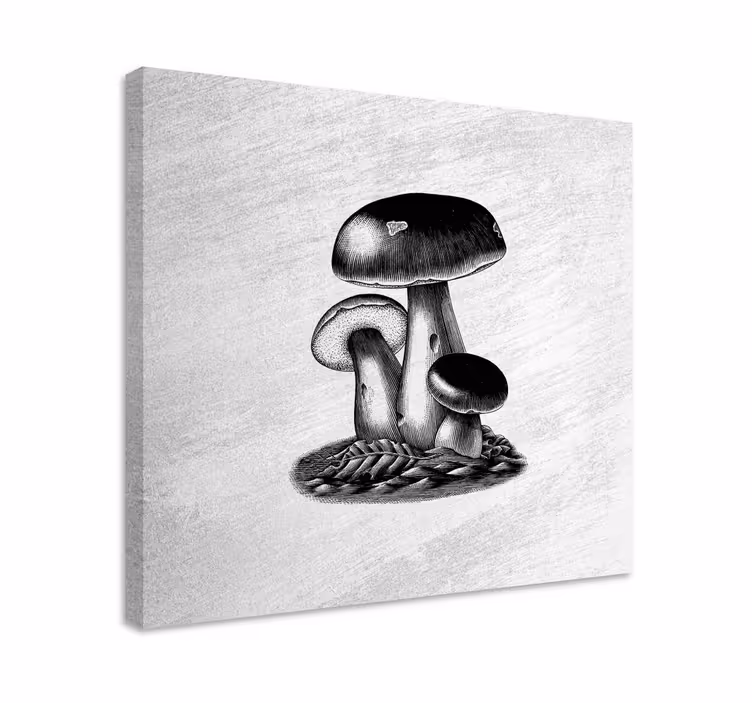 Dipinto fiori e piante trio di funghi - TenStickers