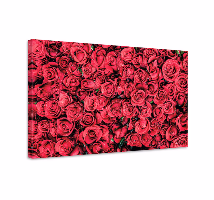 Dipinto fiori e piante composizione petali di rosa - TenStickers
