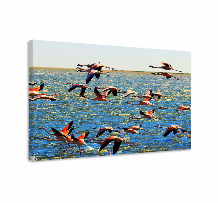 Quadro con uccelli fenicotteri in volo - TenStickers