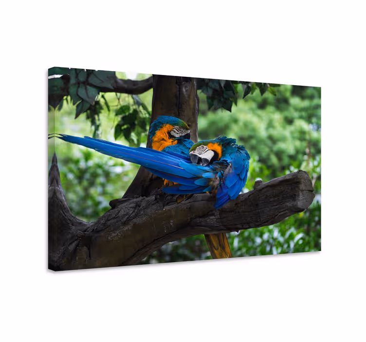 Dipinto cane coppia di pappagalli colorati - TenStickers