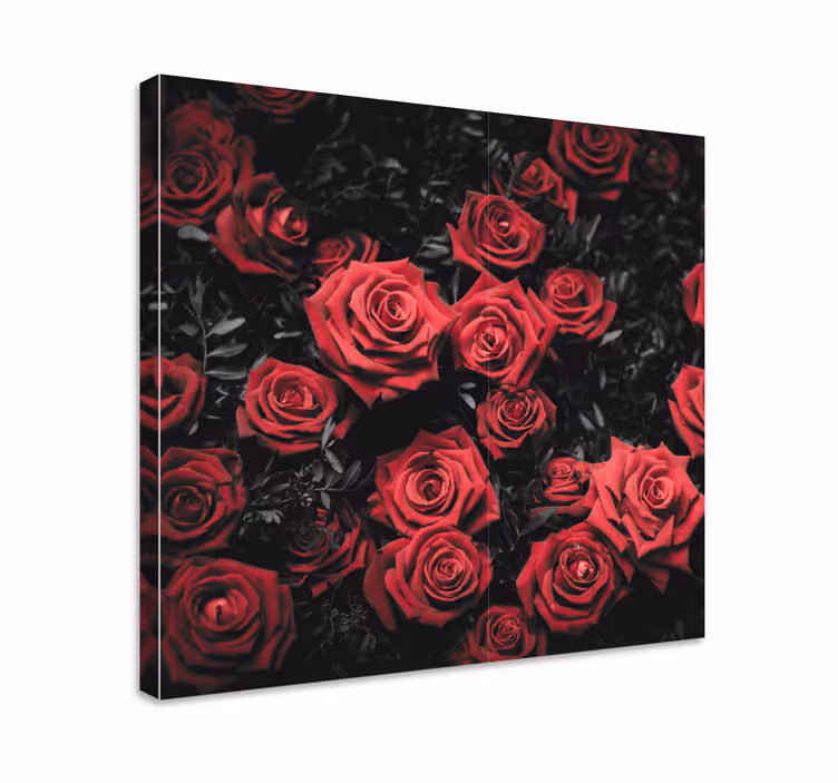 Quadro con fiori Bianco e nero con rose rosse - TenStickers
