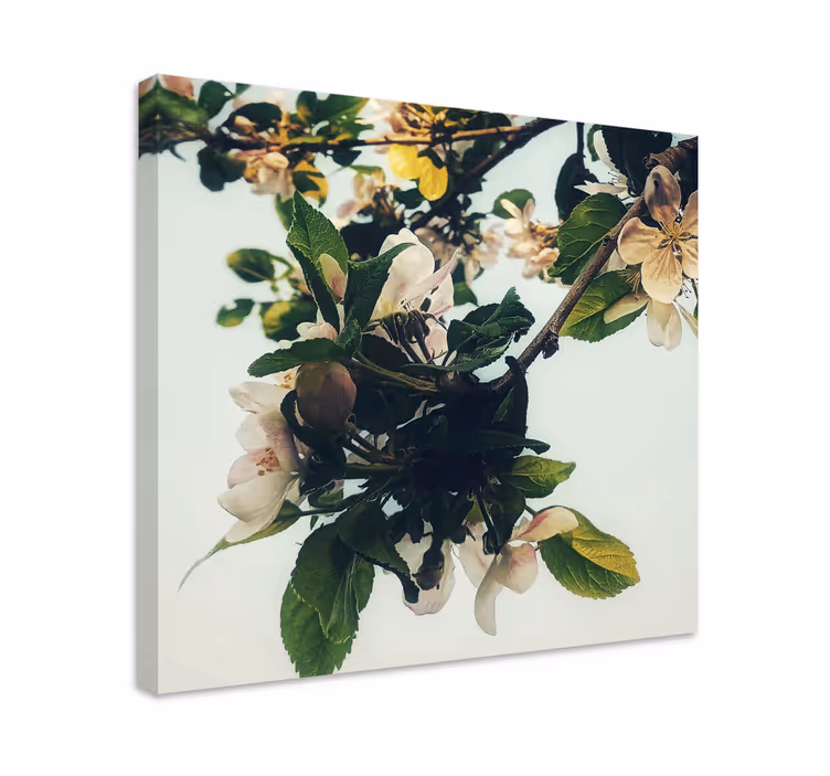 Dipinto fiori e piante ramo di melo in fiore - TenStickers