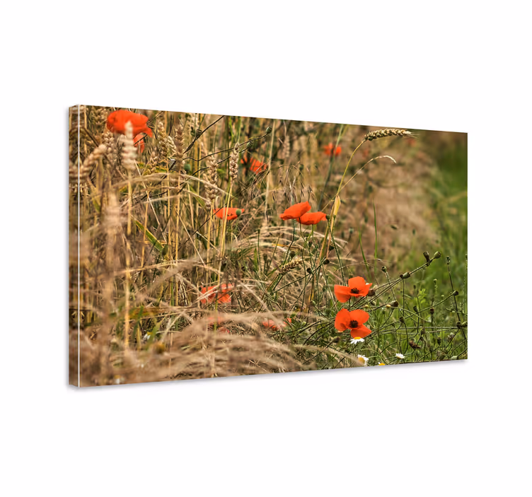 Dipinto fiori e piante campo di papaveri vibrante - TenStickers