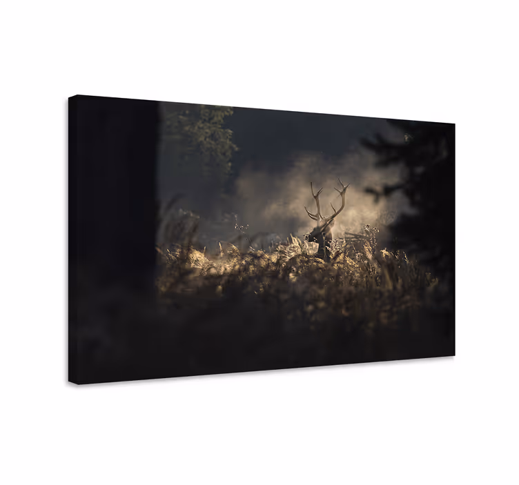 Quadro con cervo contorno regale - TenStickers