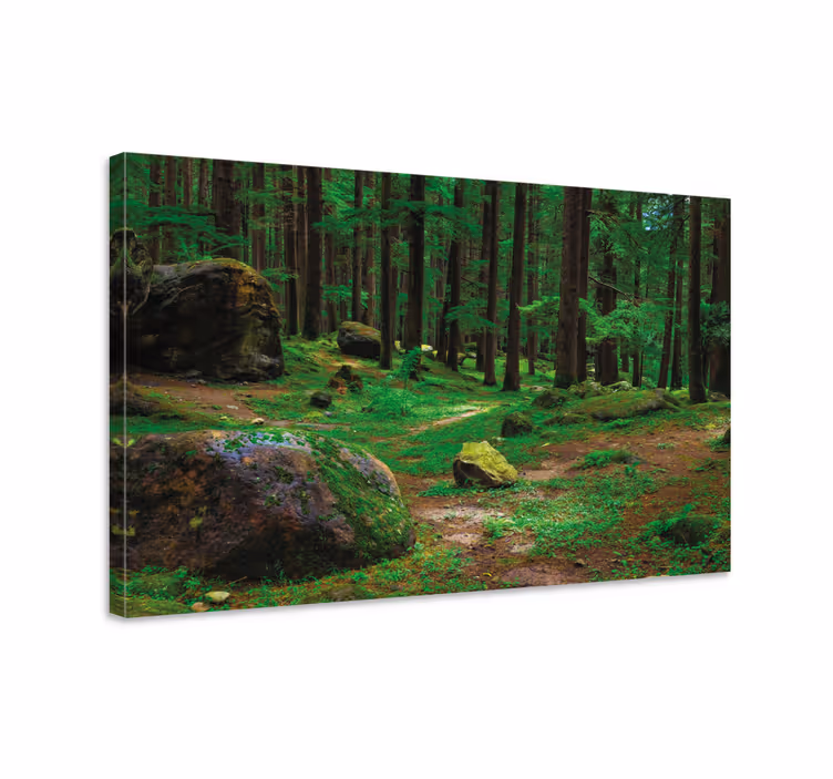 Quadro con alberi sentiero forestale lussureggiante - TenStickers