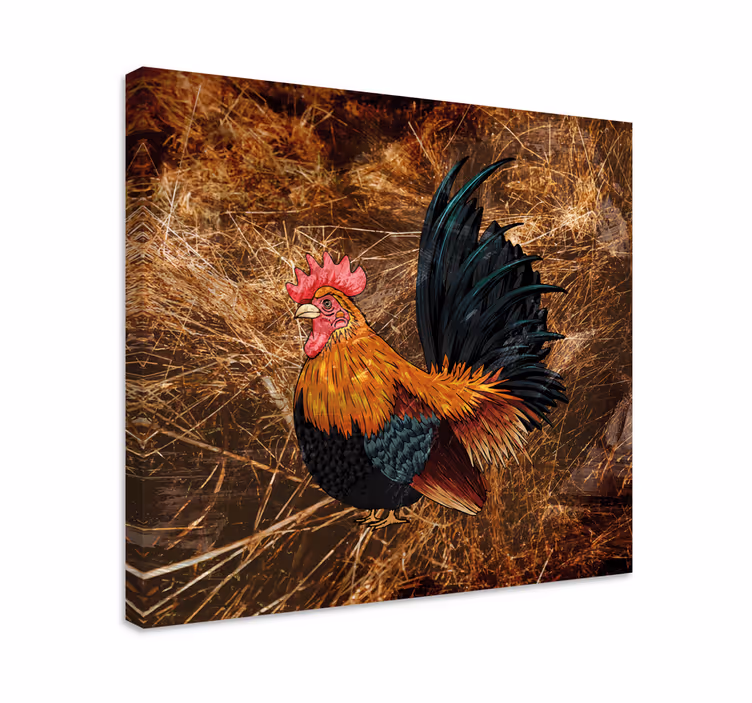 Quadro con uccelli gallo colorato - TenStickers