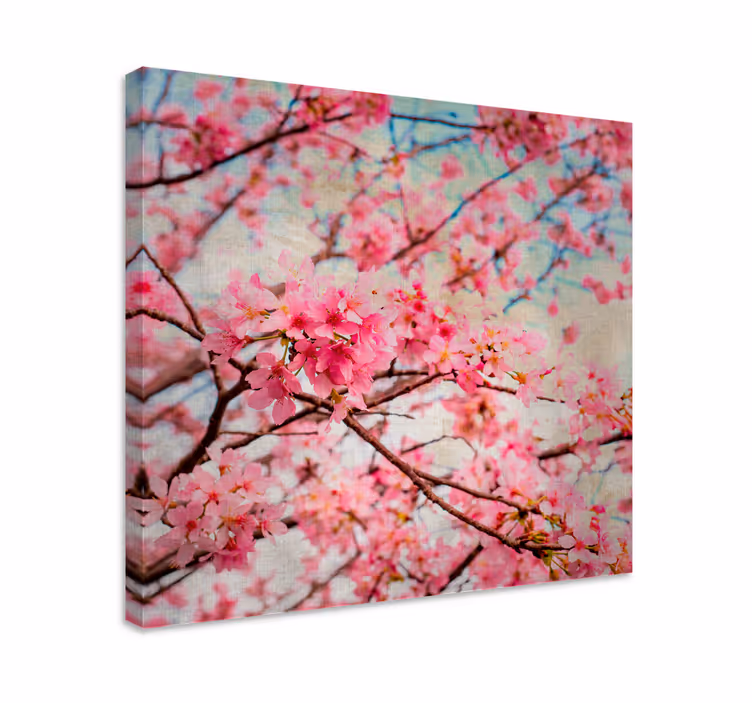 Dipinto fiori e piante fiori di ciliegio - TenStickers