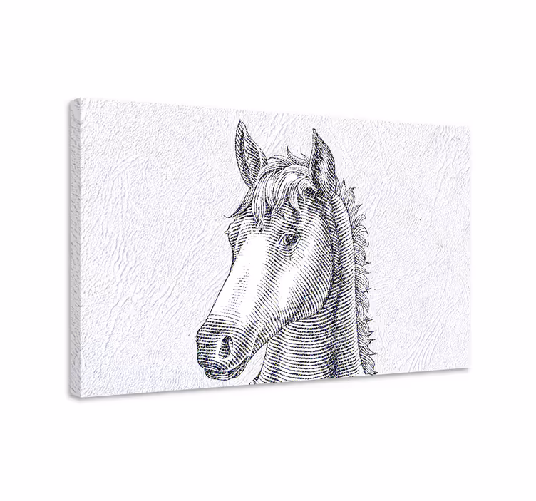 Quadro con cavallo schizzo elegante - TenStickers