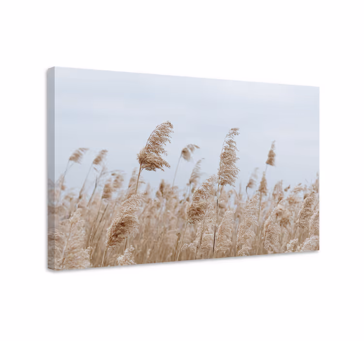 Dipinto fiori e piante brezza di erba soffice - TenStickers