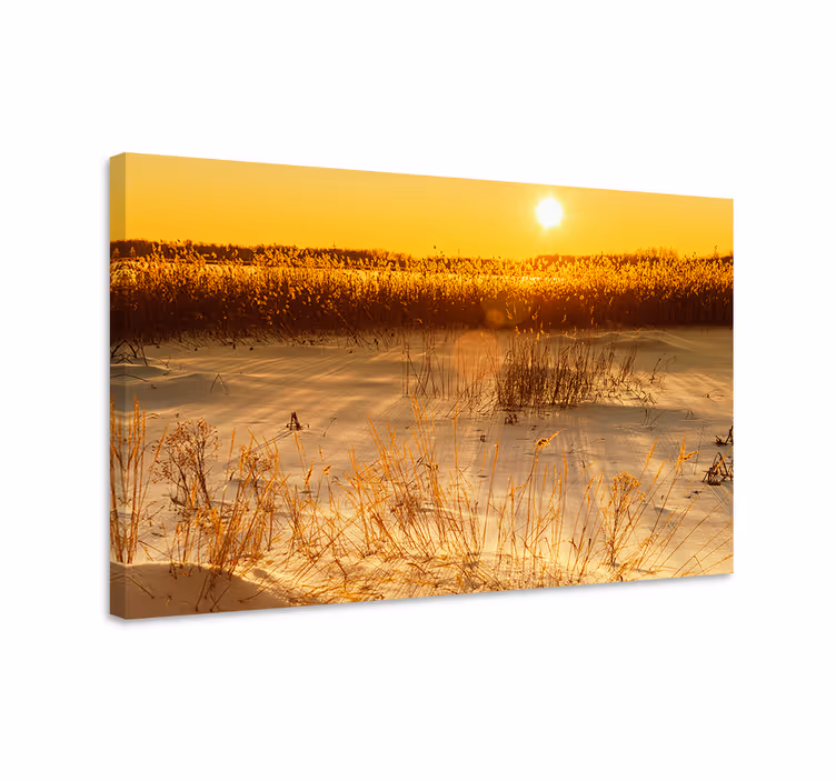 Quadro paesaggio alba dorata - TenStickers