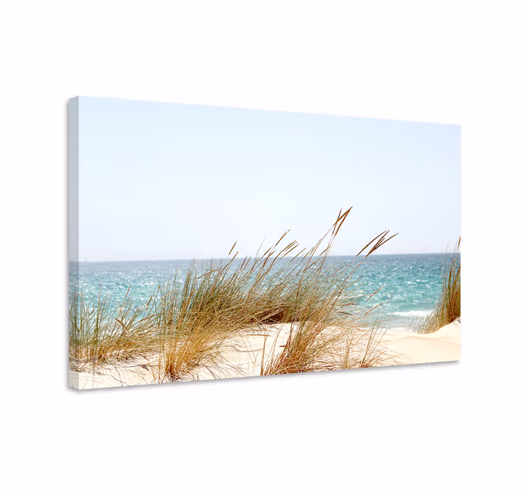 Quadro paesaggio vista sulle dune costiere - TenStickers