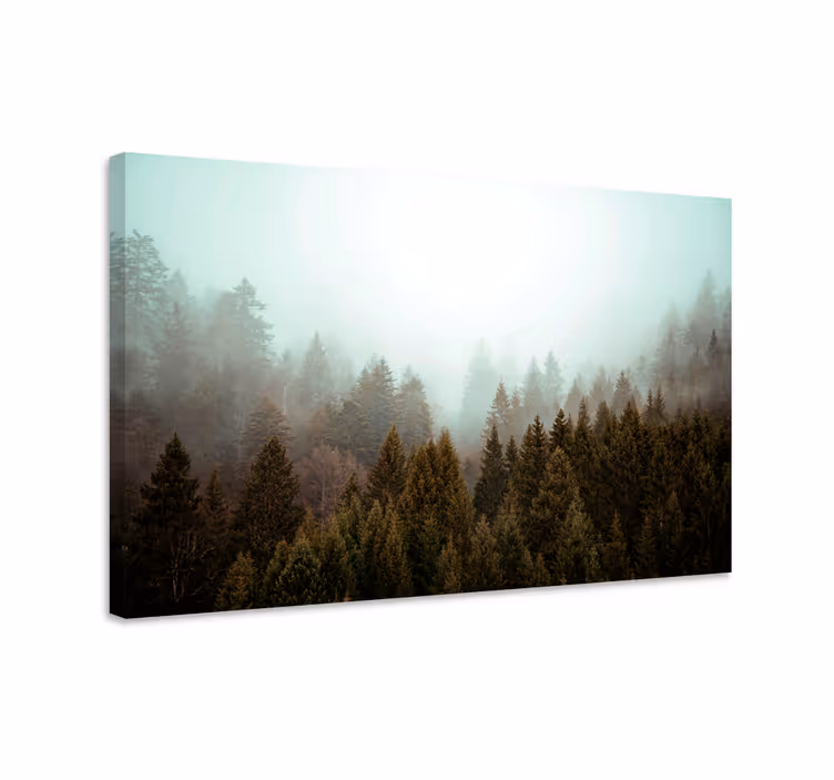 Quadro paesaggio vista nel bosco nebbioso - TenStickers