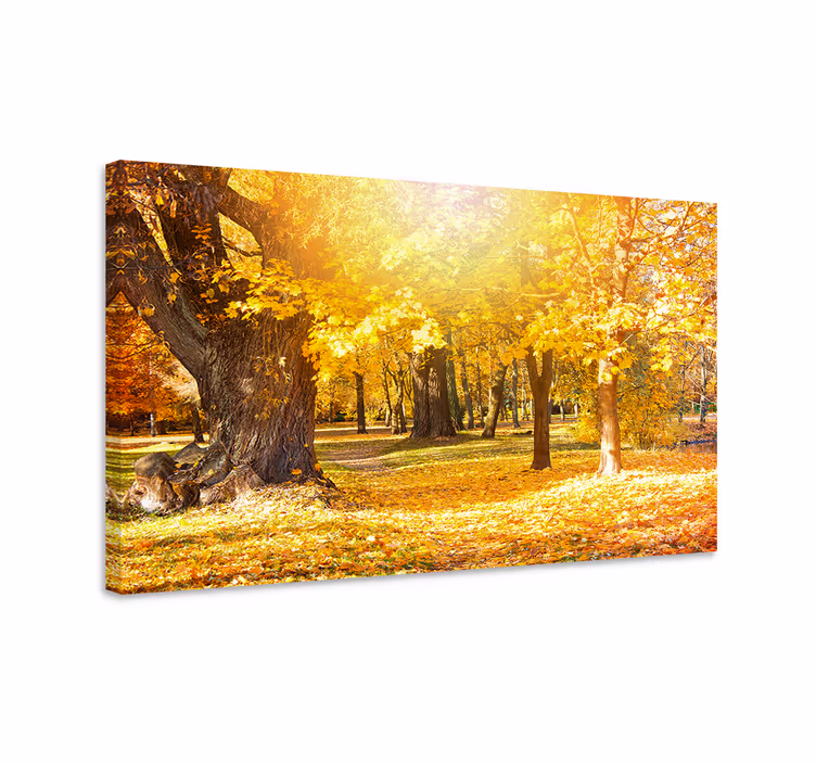 Quadro con alberi sentiero nel bosco autunnale - TenStickers