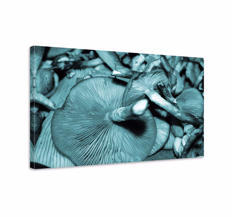 Dipinto fiori e piante crescita dei funghi - TenStickers