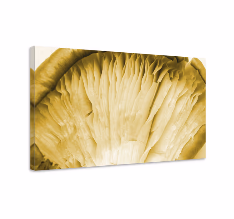 Dipinto fiori e piante lamelle di fungo - TenStickers