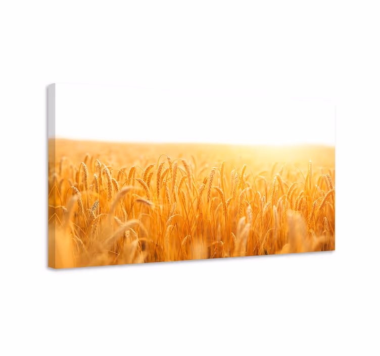 Dipinto fiori e piante campo di grano dorato - TenStickers