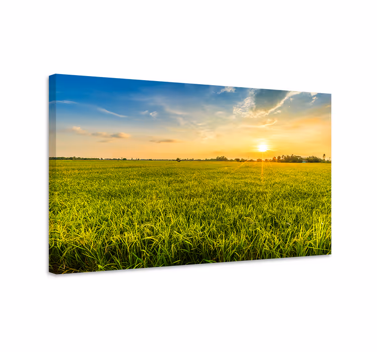 Quadro paesaggio tramonto sui campi - TenStickers