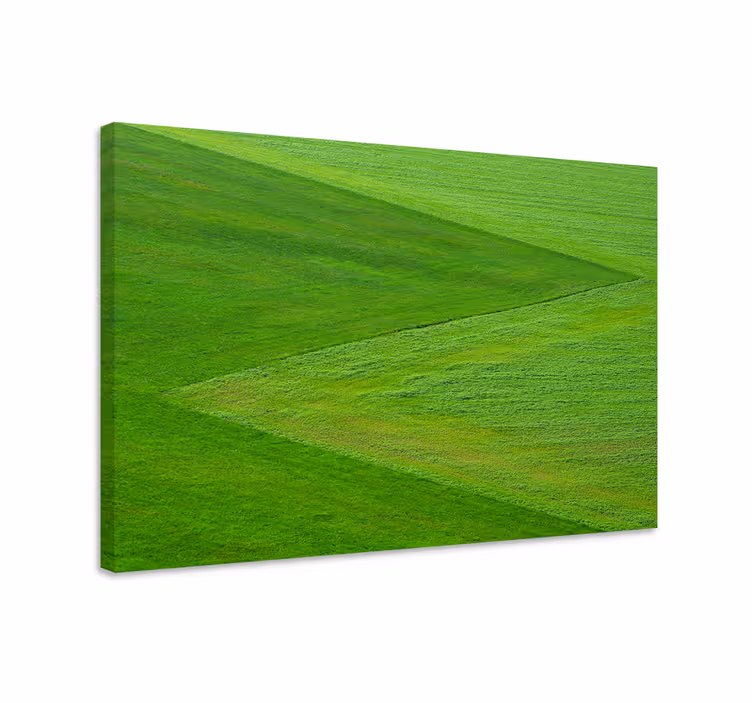 Quadro paesaggio terreno verde lussureggiante - TenStickers