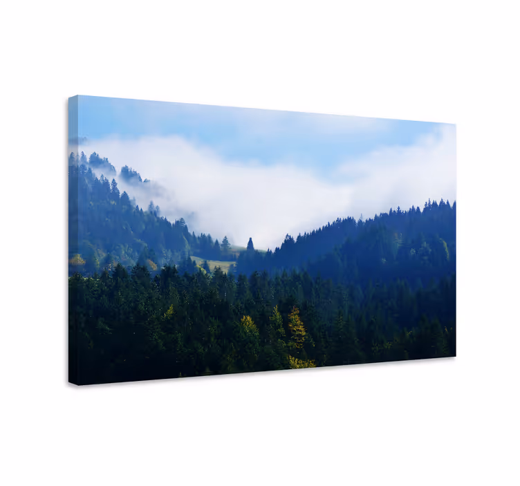 Quadro paesaggio vette forestali maestose - TenStickers