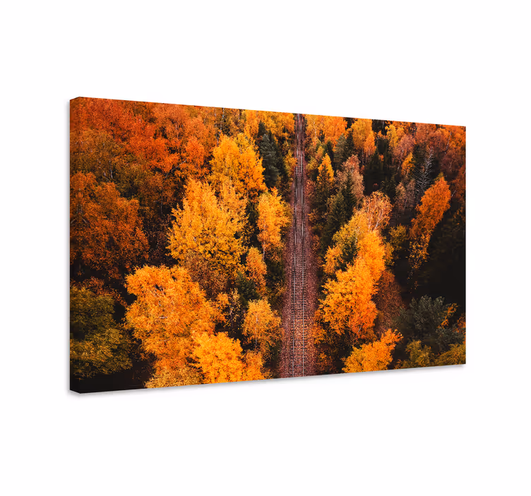 Quadro paesaggio sentiero tra le foglie d'autunno - TenStickers