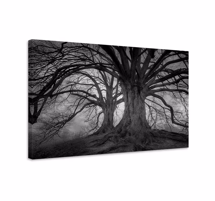 Quadro con alberi misteriosi senza foglie - TenStickers