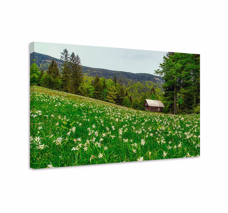 Quadro paesaggio cabina incantevole in campagna - TenStickers