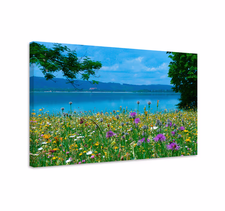 Dipinto fiori e piante vista di prato fiorito - TenStickers