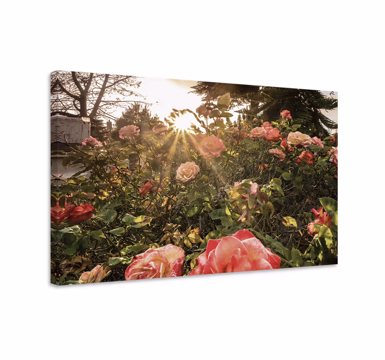 Dipinto fiori e piante fiori di rosa radiani - TenStickers