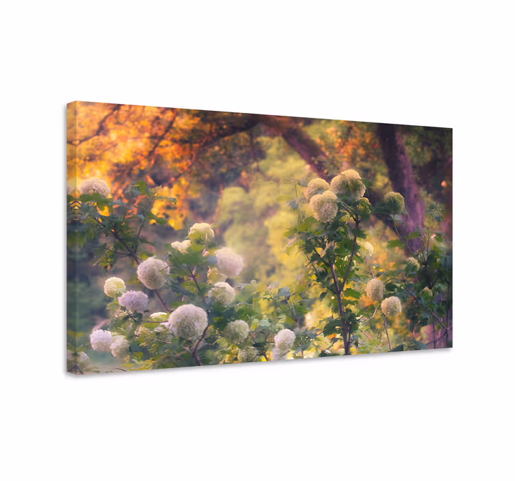 Dipinto fiori e piante fiori di prato - TenStickers