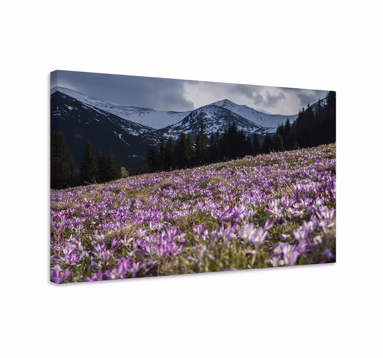 Dipinto fiori e piante prato fiorito viola - TenStickers