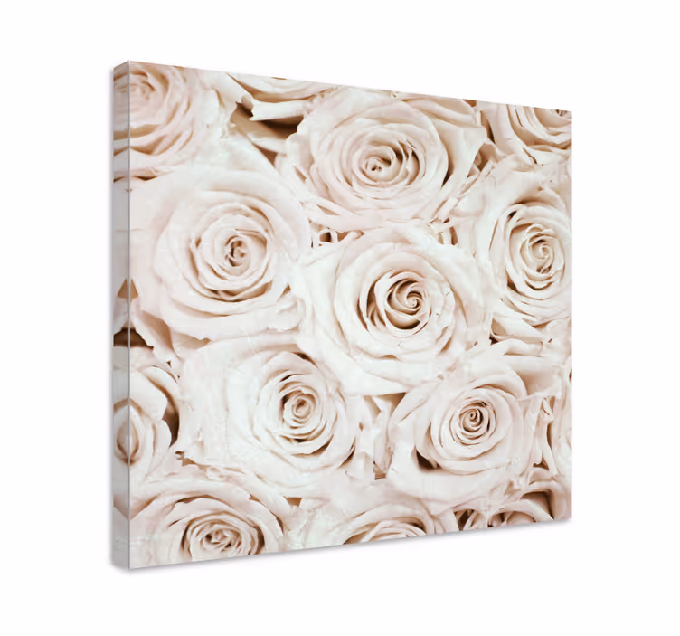 Dipinto fiori e piante rosa gentile in fiore - TenStickers