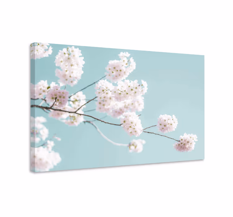 Dipinto fiori e piante stelo di fior di ciliegio - TenStickers