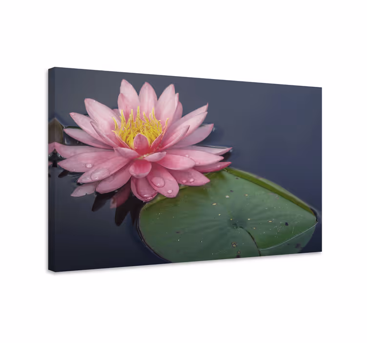 Dipinto fiori e piante fiore di ninfea - TenStickers