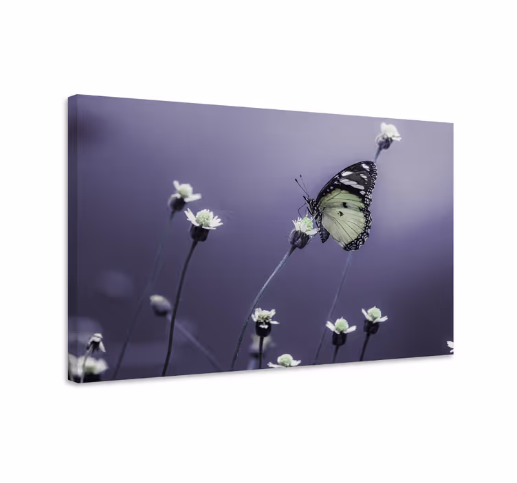 Dipinto farfalle farfalla tra i fiori - TenStickers
