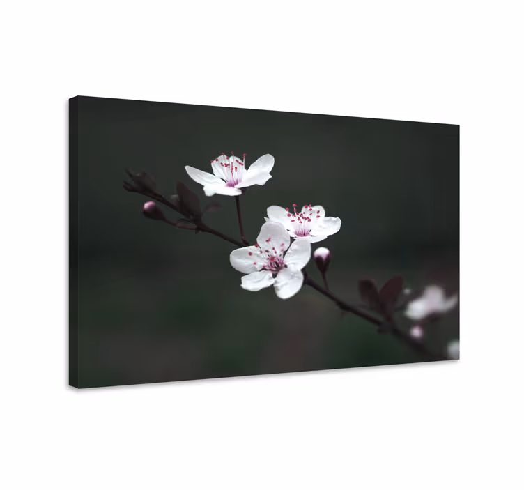 Dipinto fiori e piante fiori delicati in fiore - TenStickers