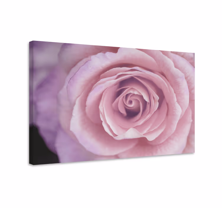 Dipinto fiori e piante dettagli floreali rosa - TenStickers
