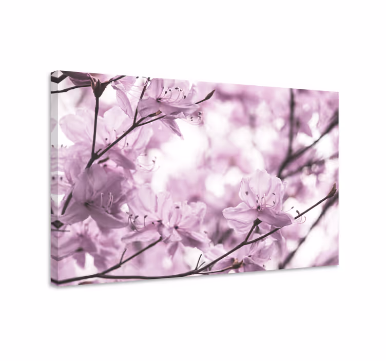 Dipinto fiori e piante fioriture delicate - TenStickers