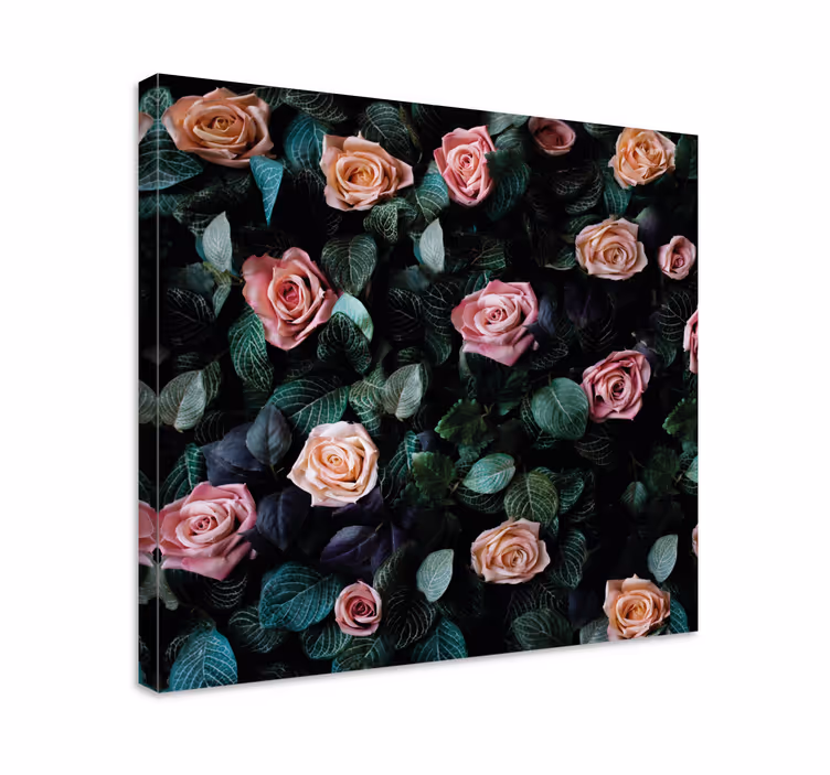 Quadro con fiori Fiori di rosa rossa - TenStickers