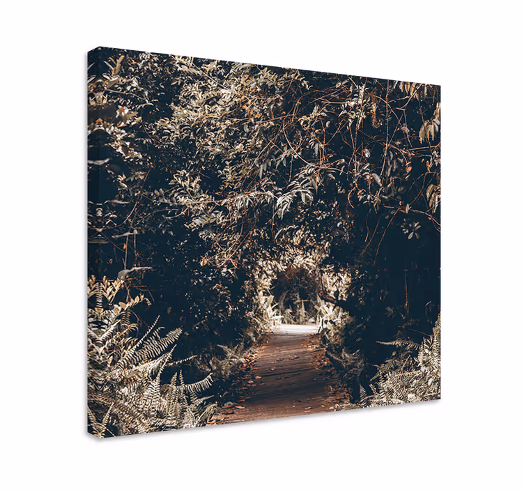 Quadro con alberi sentiero boscoso - TenStickers