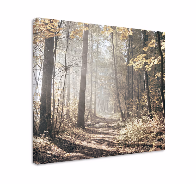Quadro paesaggio sentiero coperto di nebbia - TenStickers