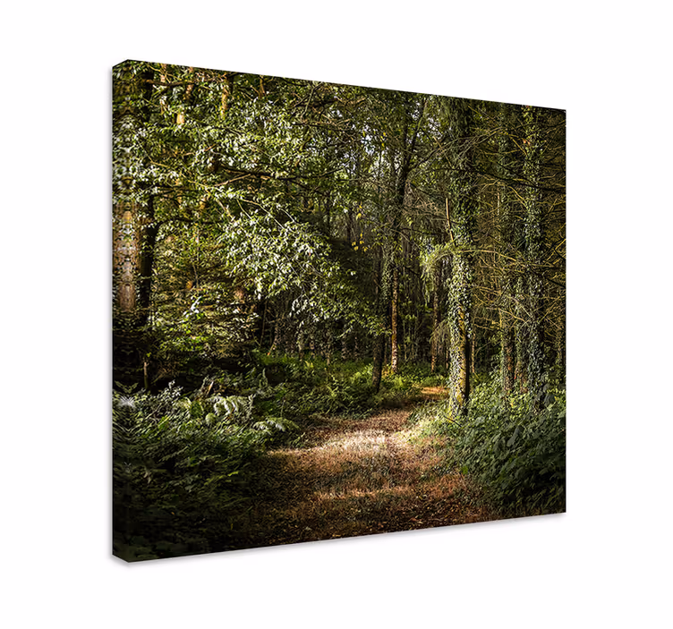 Quadro paesaggio vista sentiero boschivo - TenStickers