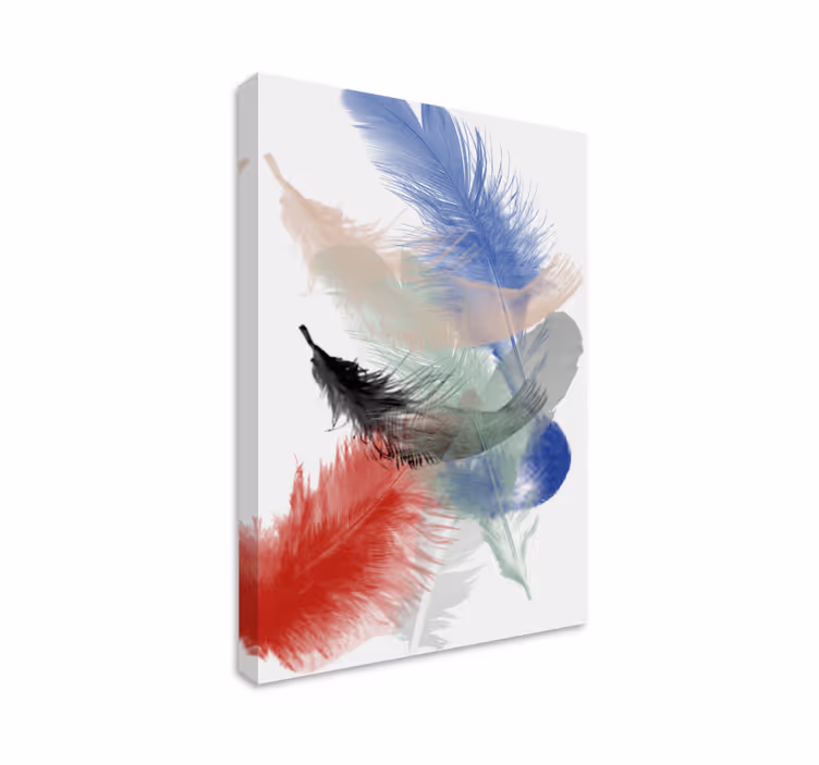 Quadro penna esposizione di piume colorate - TenStickers