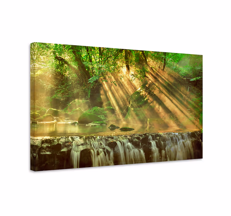 Quadro paesaggio ruscello nel bosco illuminato - TenStickers